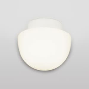 LEDバスルームライト 白熱灯50W相当 直付けタイプ 防湿型 壁面・天井面・傾斜面取付兼用 電球色タイプ