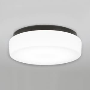 LEDバスルームライト FCL30W相当 防雨・防湿型 壁面・天井面・傾斜面取付兼用 昼白色タイプ 黒色