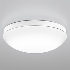 LEDバスルームライト FCL30W相当 防雨・防湿型 壁面・天井面・傾斜面取付兼用 昼白色タイプ 白色