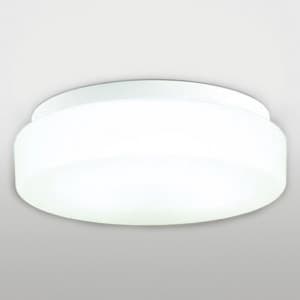 蛍光灯バスルームライト FCL30W 防雨・防湿型 壁面・天井面・傾斜面取付兼用 昼白色