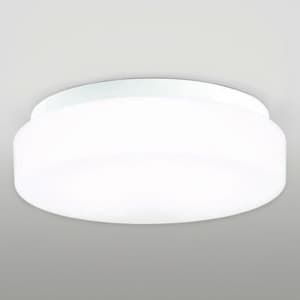 蛍光灯バスルームライト FCL20W 防雨・防湿型 壁面・天井面・傾斜面取付兼用 昼白色