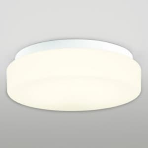 蛍光灯バスルームライト FCL20W 防雨・防湿型 壁面・天井面・傾斜面取付兼用 電球色