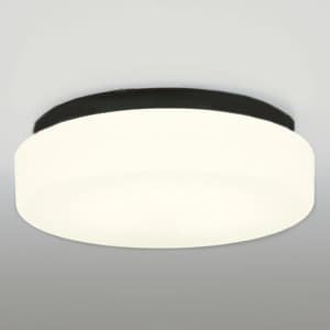 蛍光灯バスルームライト FCL20W 防雨・防湿型 壁面・天井面・傾斜面取付兼用 電球色