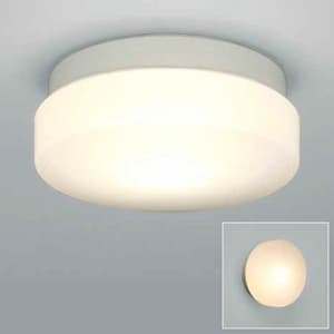 エクステリア ブラケットライト 防雨・防湿型 LED電球(E26口金) 白熱60W相当 100V 白色塗装
