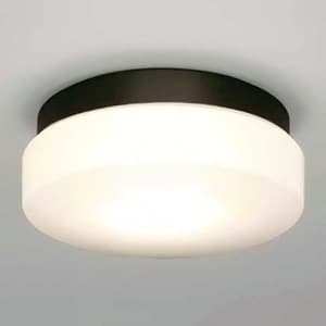 LEDランプ交換型エクステリアブラケットライト 屋外用壁付灯 防雨・防湿型 白熱60W相当 昼白色 E26口金 天井・壁付兼用 ランプ付 黒