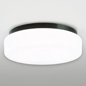 蛍光灯バスルームライト FCL30W 防雨・防湿型 壁面・天井面・傾斜面取付兼用 昼白色タイプ 本体色:黒色 60Hz用