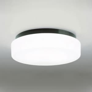蛍光灯バスルームライト FCL20W 防雨・防湿型 壁面・天井面・傾斜面取付兼用 昼白色タイプ 本体色:黒色 60Hz用