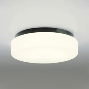 蛍光灯バスルームライト FCL20W 防雨・防湿型 壁面・天井面・傾斜面取付兼用 電球色タイプ 本体色:黒色 60Hz用
