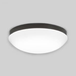 蛍光灯バスルームライト FCL20W 防雨・防湿型 壁面・天井面・傾斜面取付兼用 昼白色タイプ 本体色:黒色 60Hz用