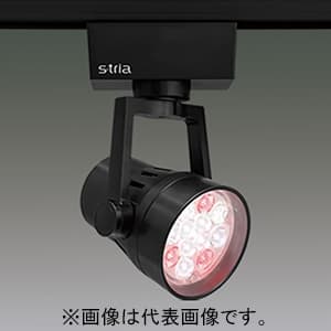 LEDスポットライト 《S-tria》 食品売場用タイプ 精肉用 LED12灯 非調光タイプ 配光角15° ライティングレール用 ブラック