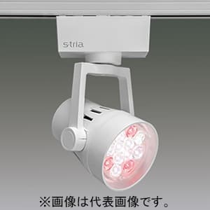 LEDスポットライト 《S-tria》 食品売場用タイプ 野菜・青果用 LED12灯 非調光タイプ 配光角25° ライティングレール用 ホワイト