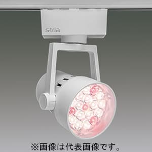 LEDスポットライト 《S-tria》 食品売場用タイプ ベーカリー/惣菜用 LED18灯 非調光タイプ 配光角15° ライティングレール用 ホワイト