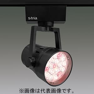 LEDスポットライト 《S-tria》 食品売場用タイプ ベーカリー/惣菜用 LED18灯 非調光タイプ 配光角15° ライティングレール用 ブラック